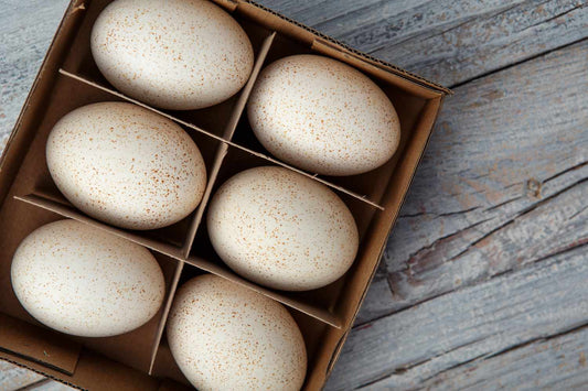Duck Eggs