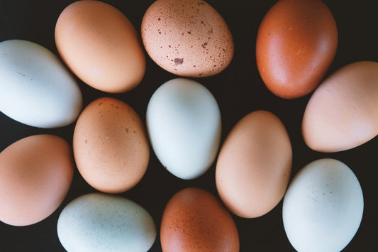 Pasture-Raised Chicken Eggs